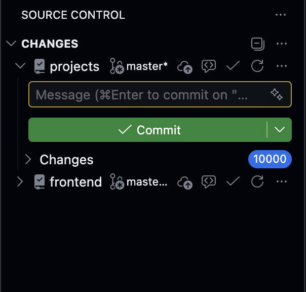 VS Code Source Control showing a projects entry with 10000 changes badge
